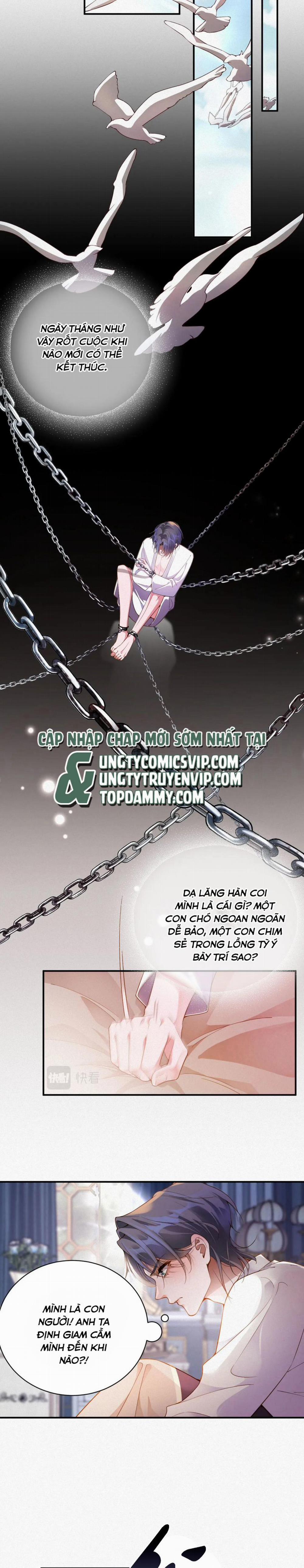 Chồng Trước Lại Muốn Phục Hôn Rồi 3 trang 6