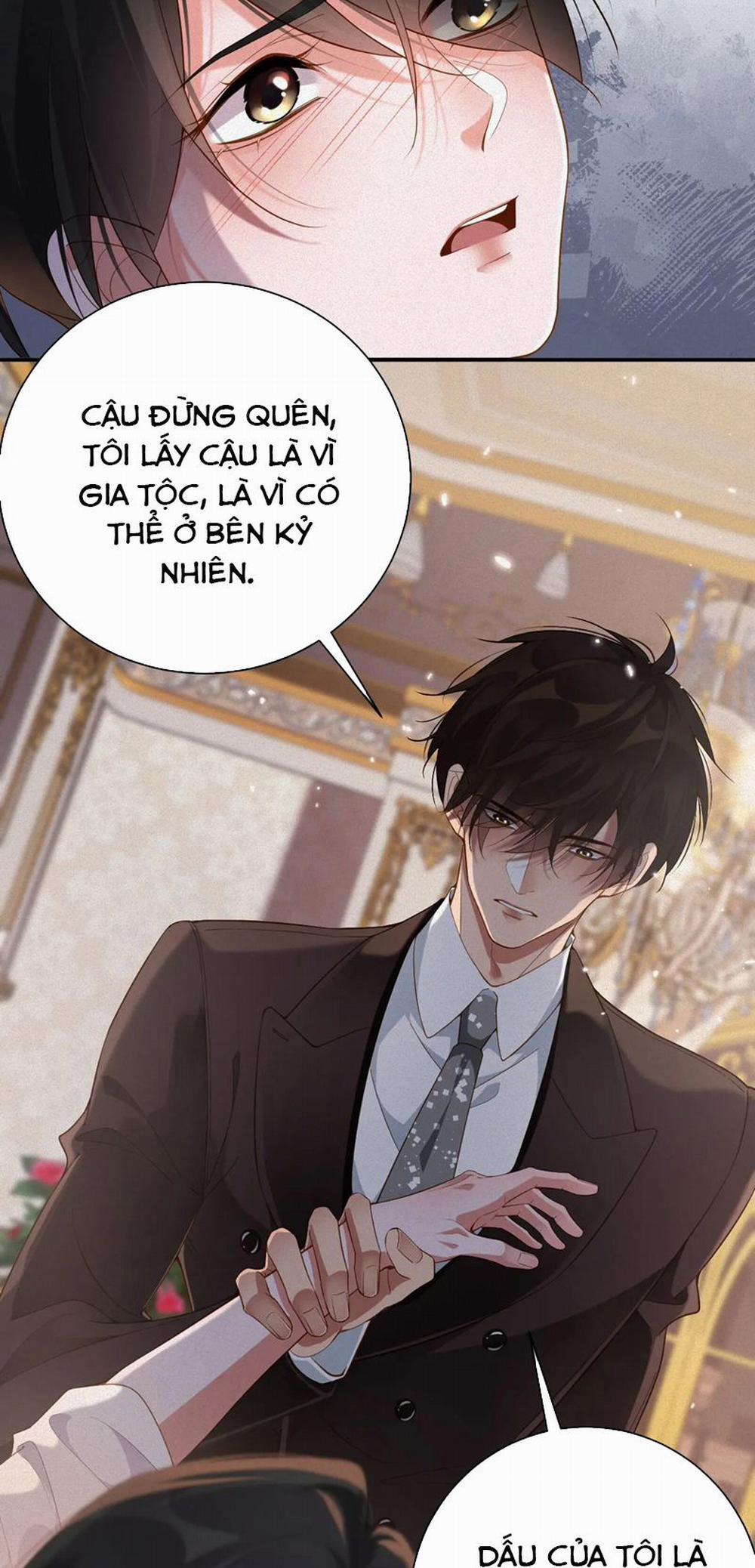 Chồng Trước Lại Muốn Phục Hôn Rồi 31 trang 22