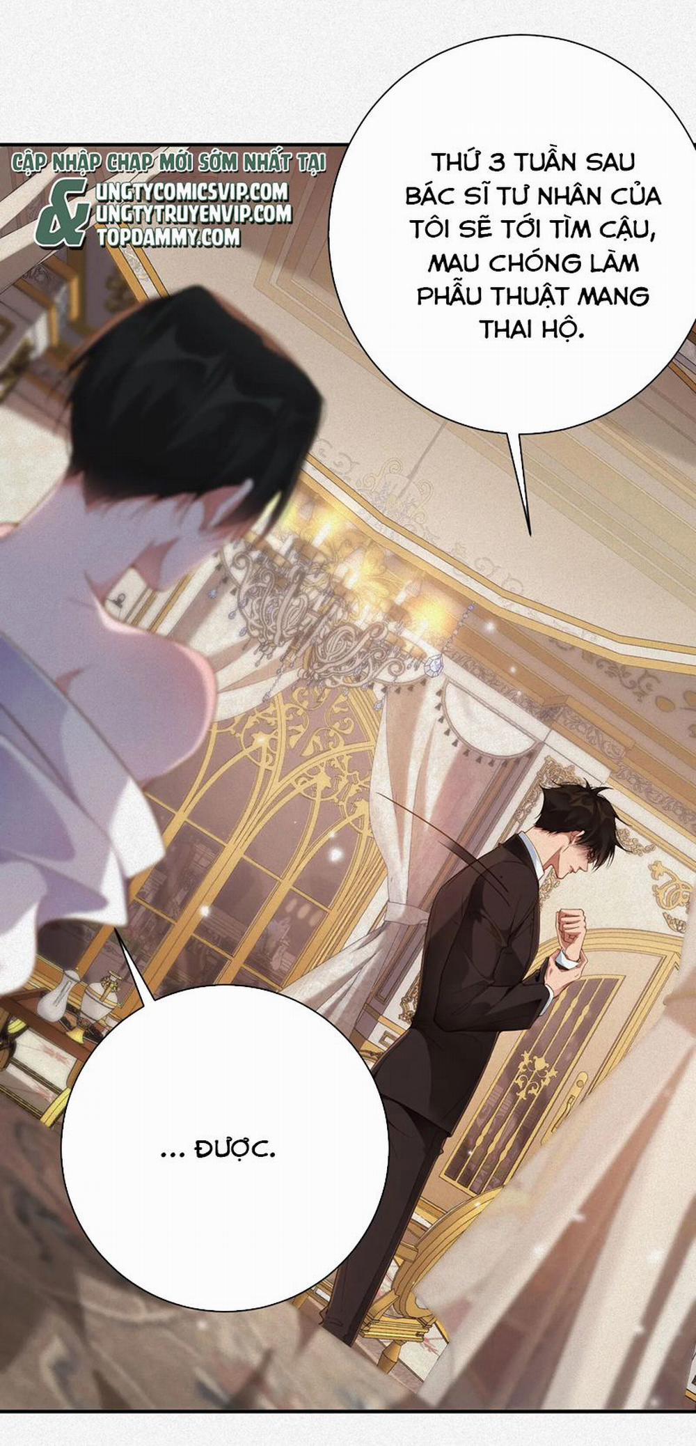 Chồng Trước Lại Muốn Phục Hôn Rồi 31 trang 24