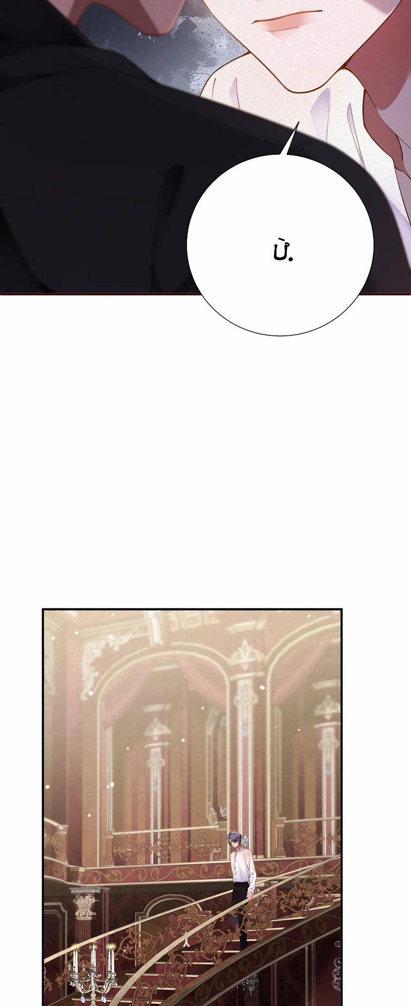 Chồng Trước Lại Muốn Phục Hôn Rồi 41 trang 10