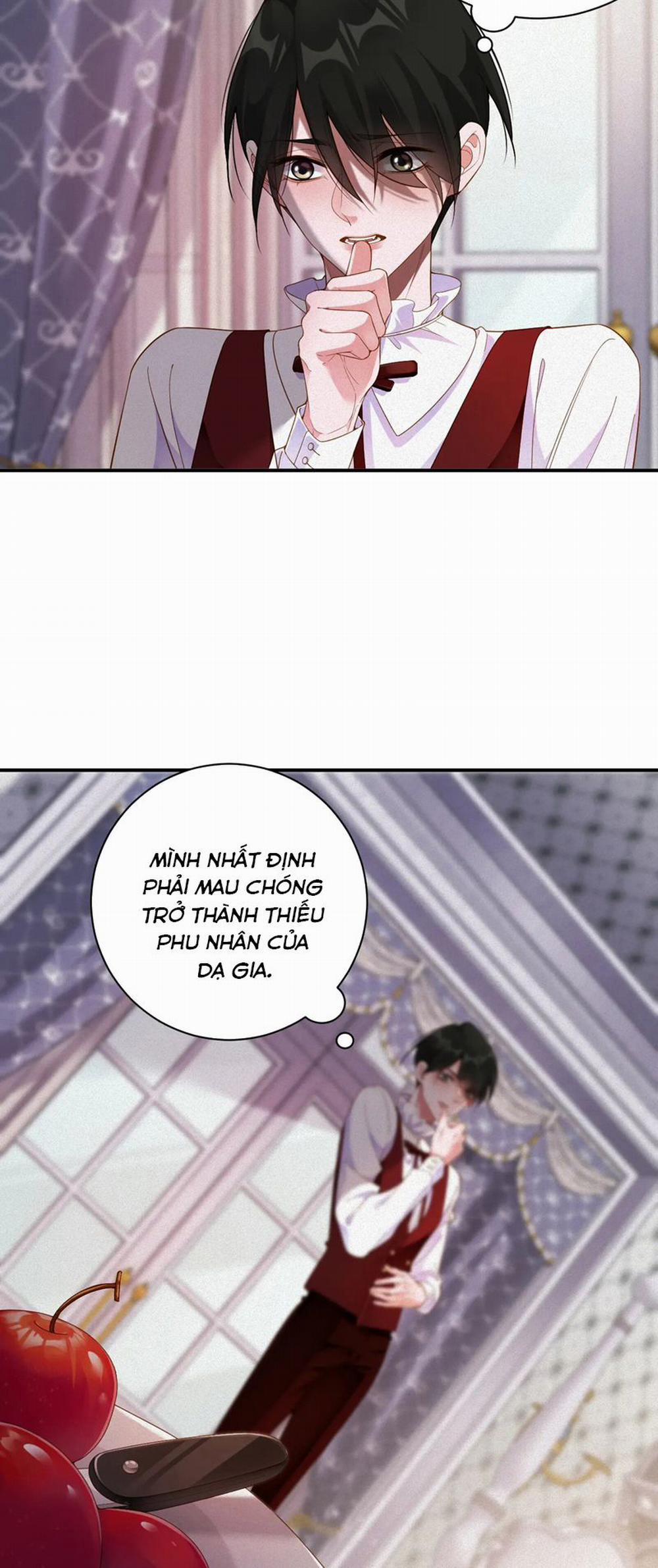 Chồng Trước Lại Muốn Phục Hôn Rồi 46 trang 11