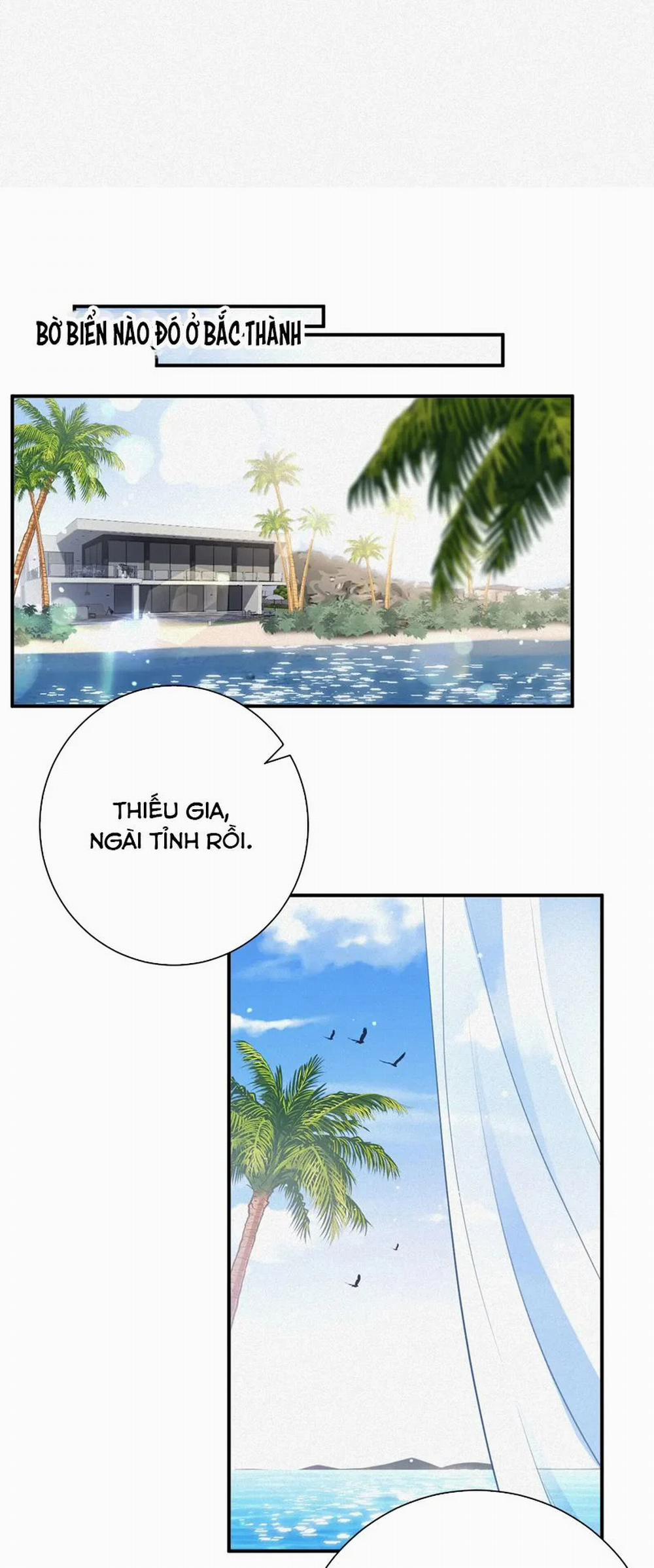 Chồng Trước Lại Muốn Phục Hôn Rồi 54 trang 17