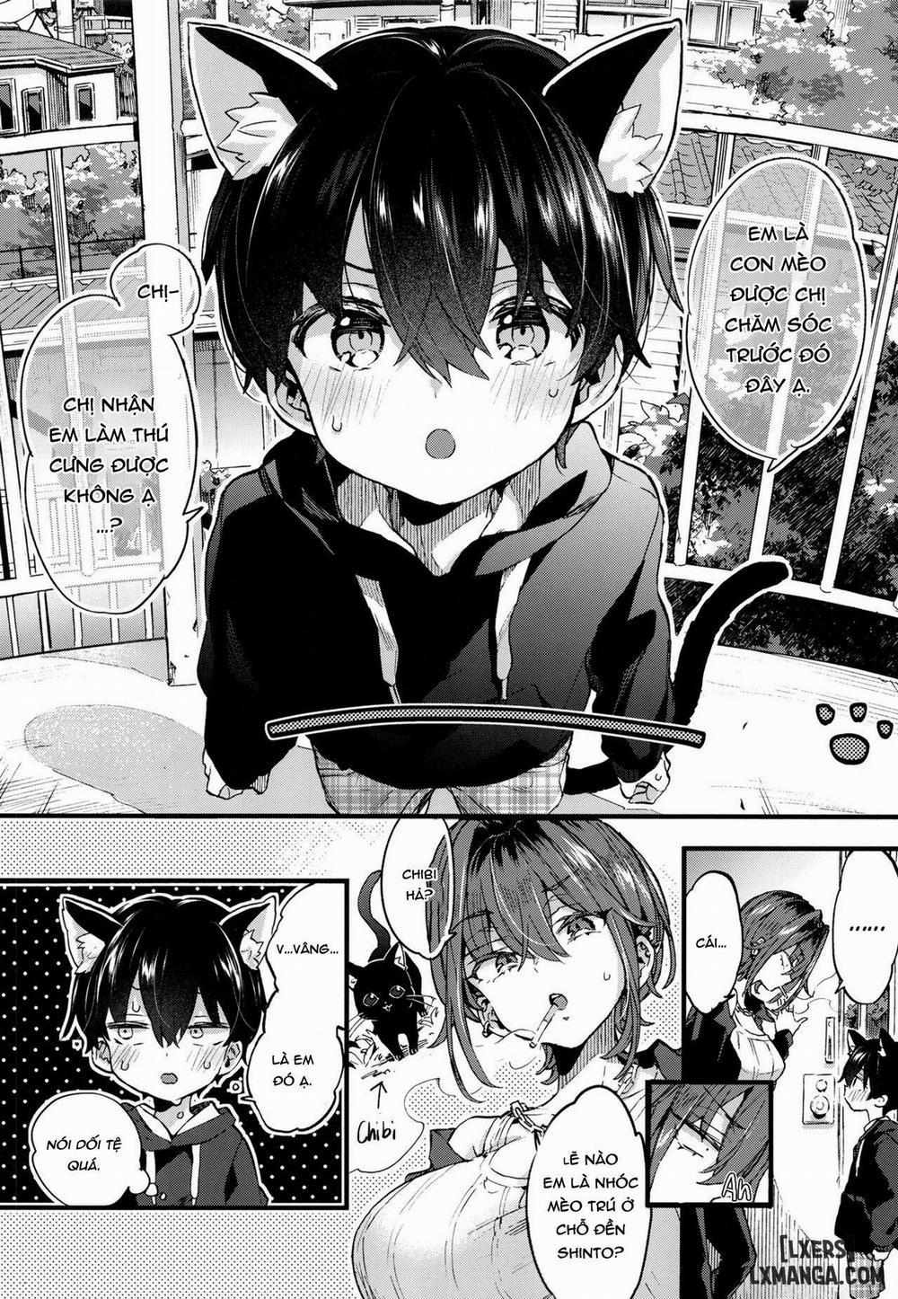 Chotto Kowai Onee-san ni Katte morau Koto ni Narimashita Oneshot trang 4