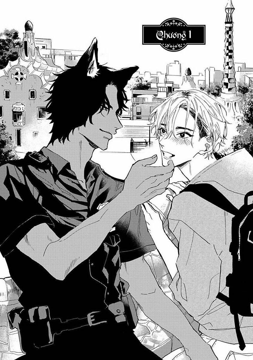 Chú Cá Ngừ Bonito Của Chàng Sói 1 trang 3