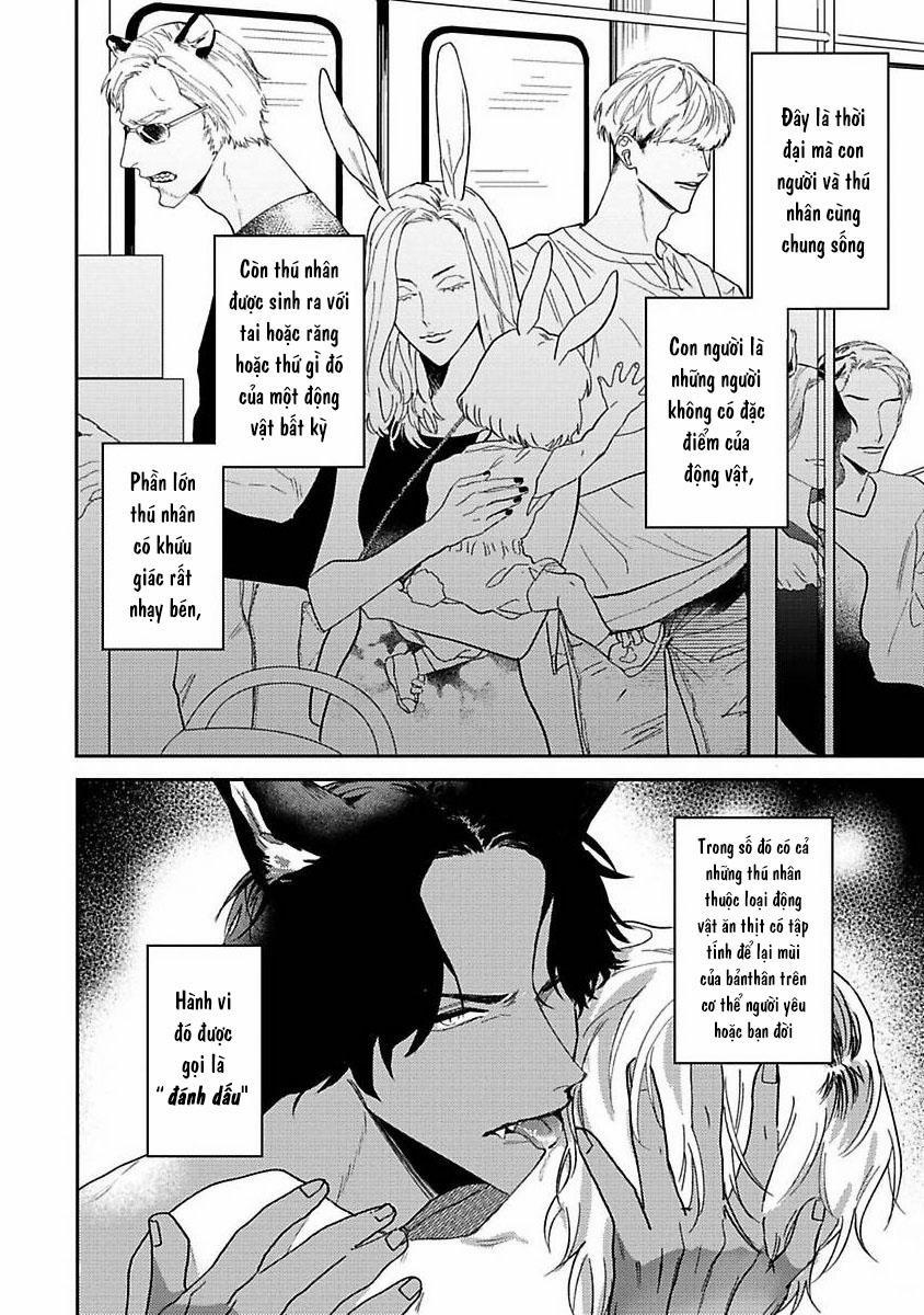 Chú Cá Ngừ Bonito Của Chàng Sói 1 trang 4