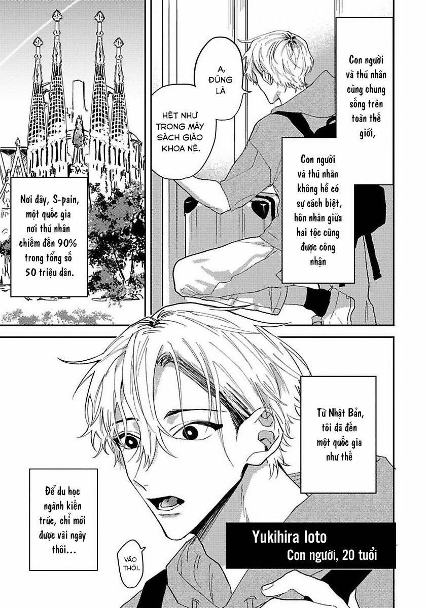 Chú Cá Ngừ Bonito Của Chàng Sói 1 trang 5