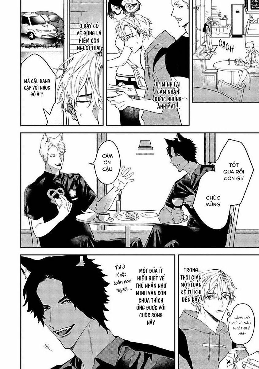 Chú Cá Ngừ Bonito Của Chàng Sói 1 trang 6