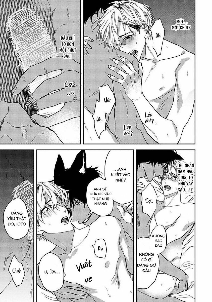 Chú Cá Ngừ Bonito Của Chàng Sói 2 trang 20