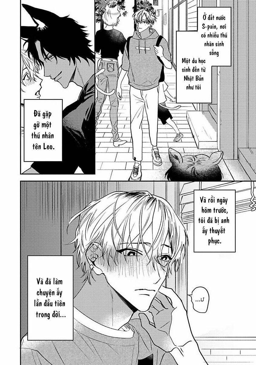 Chú Cá Ngừ Bonito Của Chàng Sói 3 trang 1