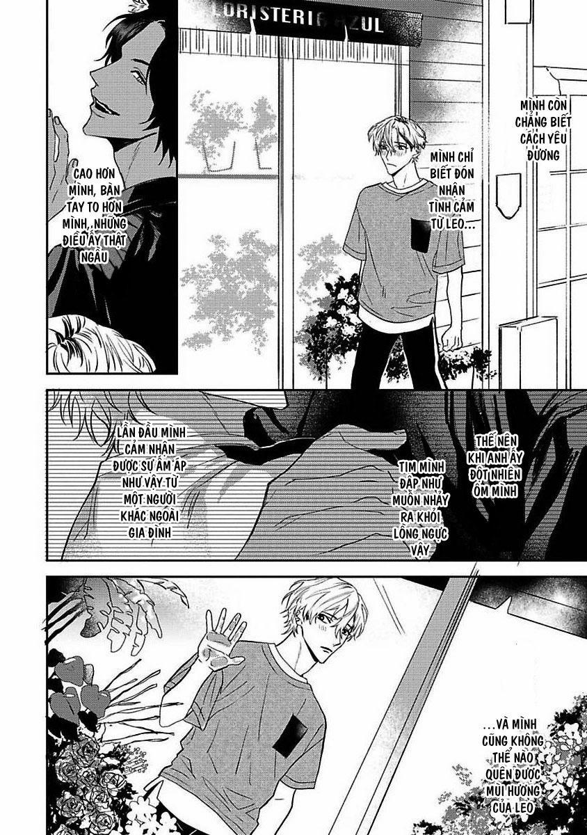 Chú Cá Ngừ Bonito Của Chàng Sói 3 trang 11