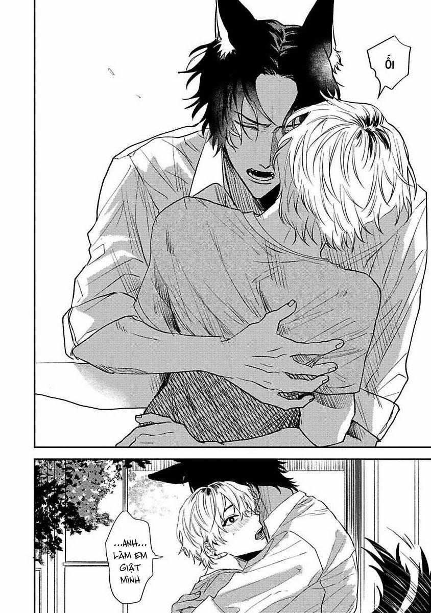 Chú Cá Ngừ Bonito Của Chàng Sói 3 trang 15