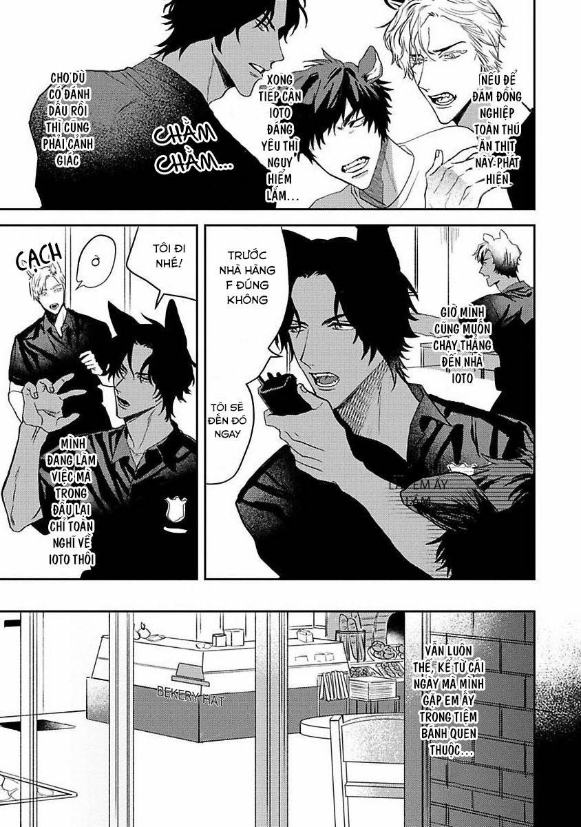 Chú Cá Ngừ Bonito Của Chàng Sói 3 trang 4