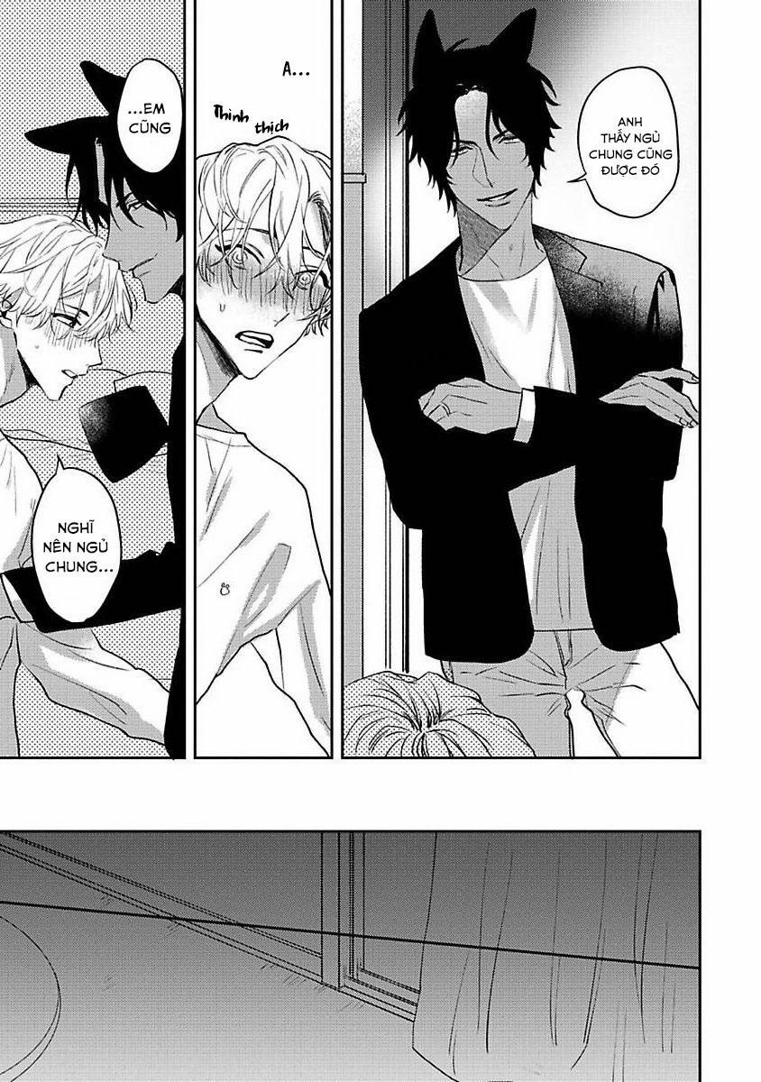 Chú Cá Ngừ Bonito Của Chàng Sói 5.2 trang 4