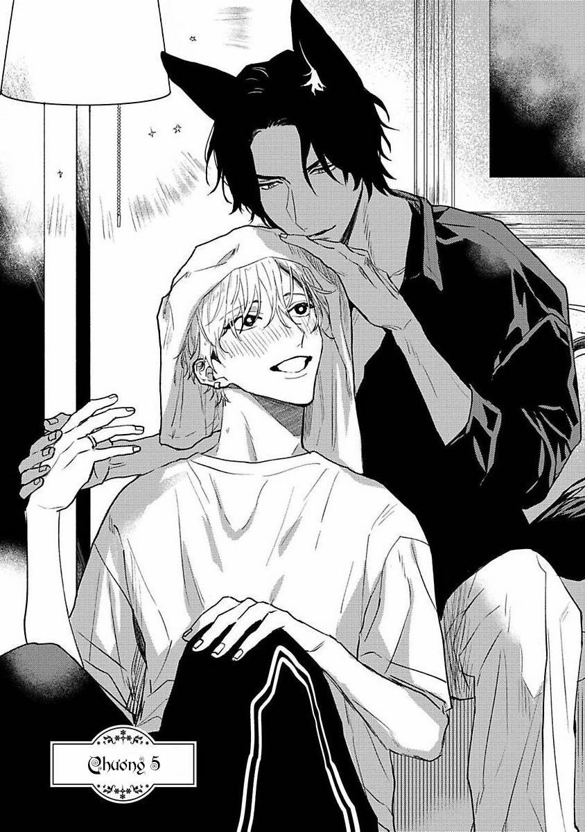 Chú Cá Ngừ Bonito Của Chàng Sói 5 trang 0