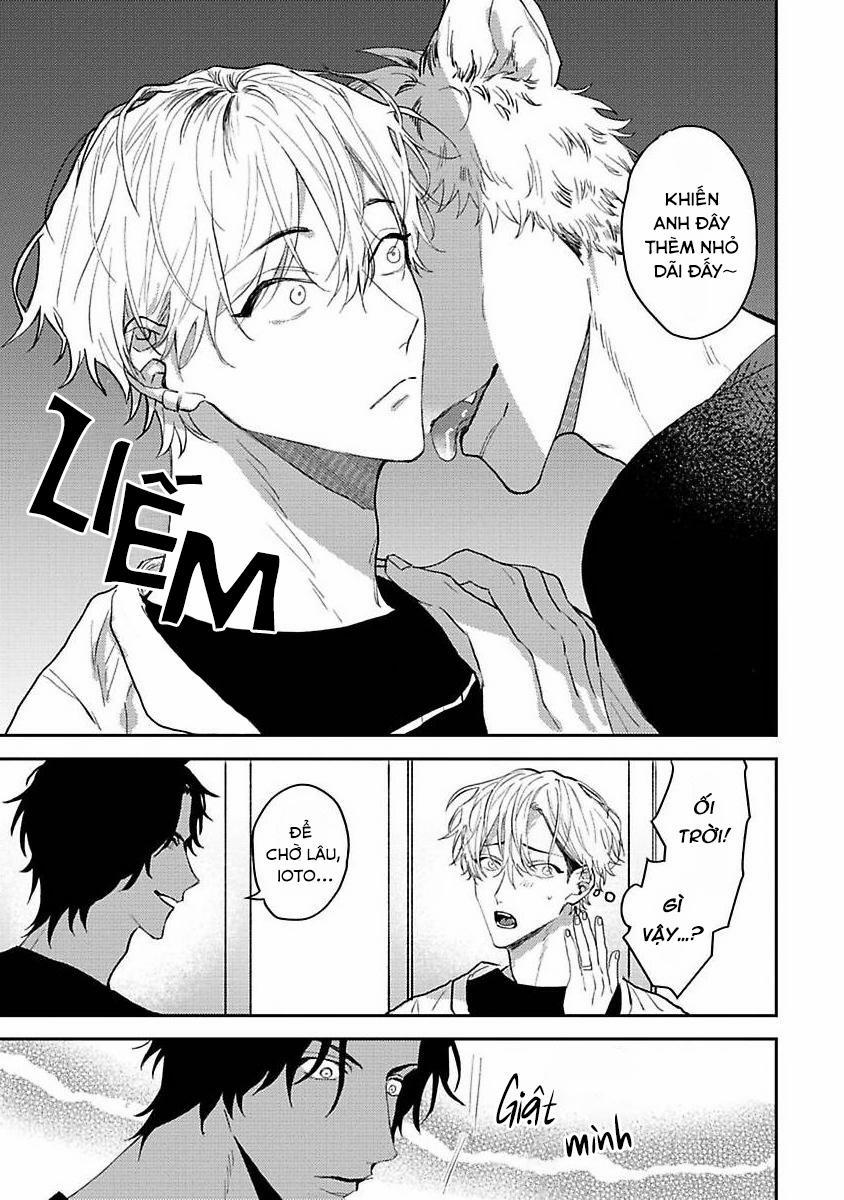 Chú Cá Ngừ Bonito Của Chàng Sói 5 trang 10