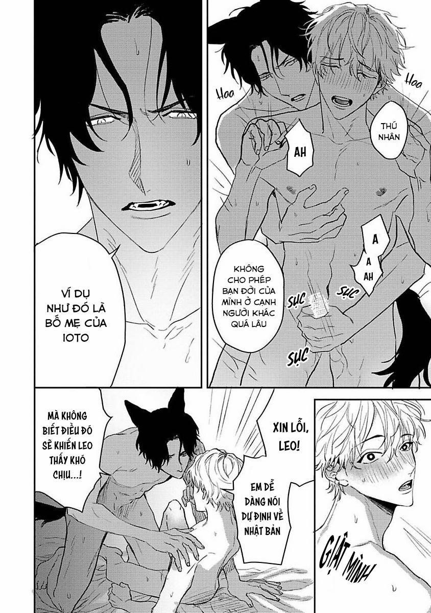 Chú Cá Ngừ Bonito Của Chàng Sói 5 trang 17