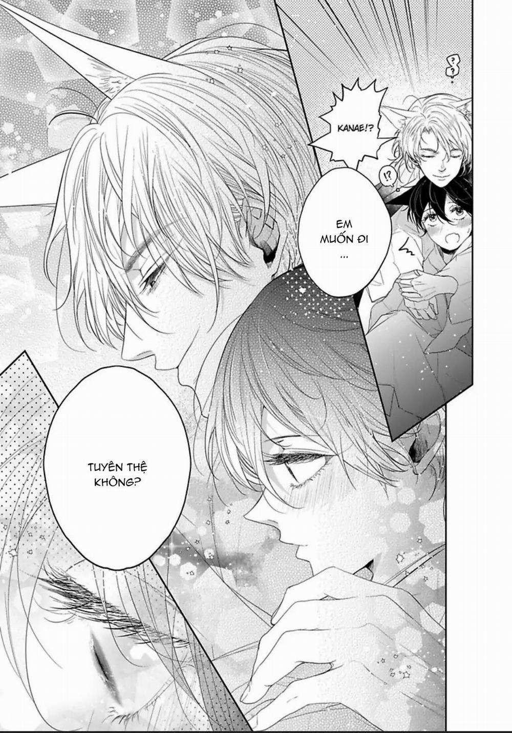 Chú Cáo Của Tôi 5 trang 14