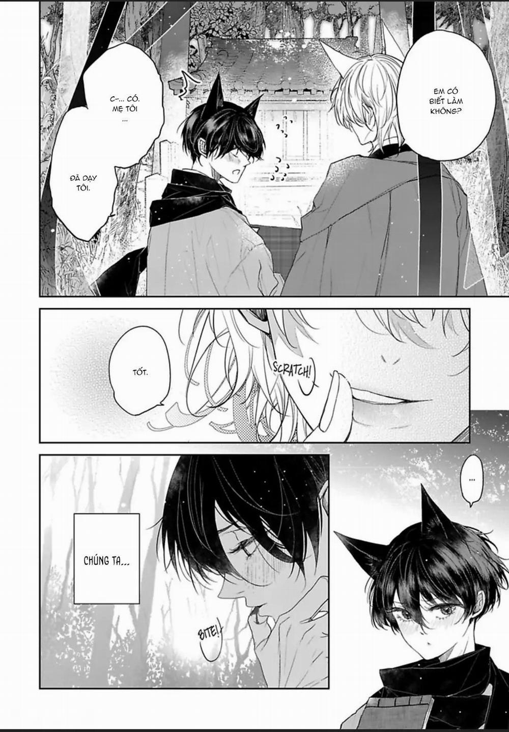 Chú Cáo Của Tôi 5 trang 17