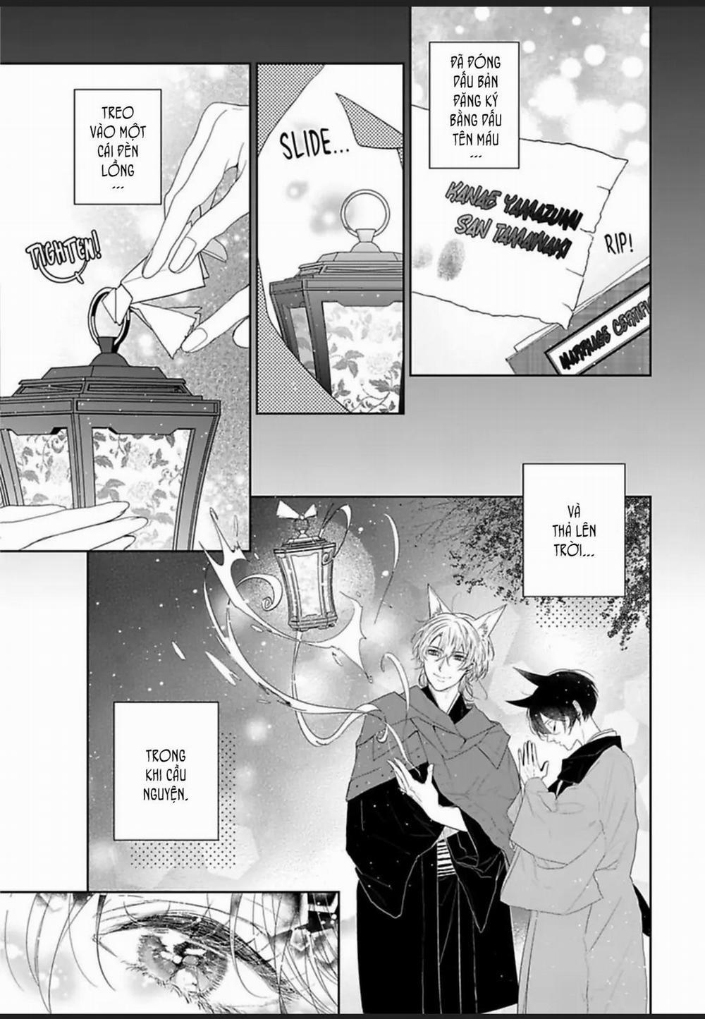 Chú Cáo Của Tôi 5 trang 18