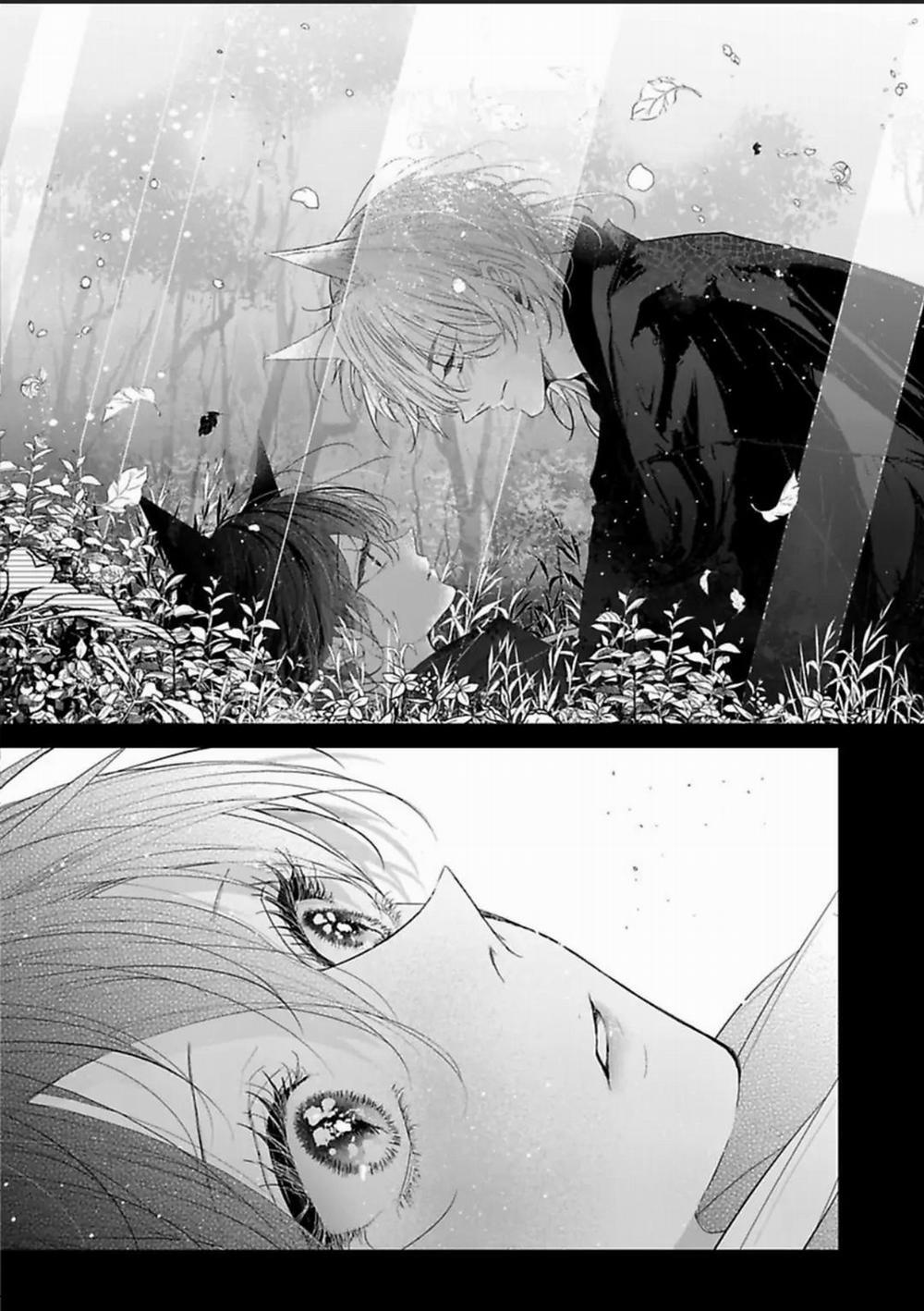 Chú Cáo Của Tôi 5 trang 22