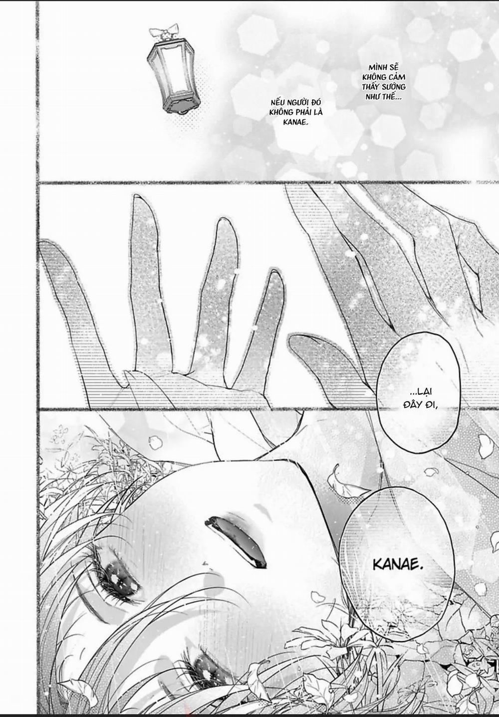 Chú Cáo Của Tôi 5 trang 31