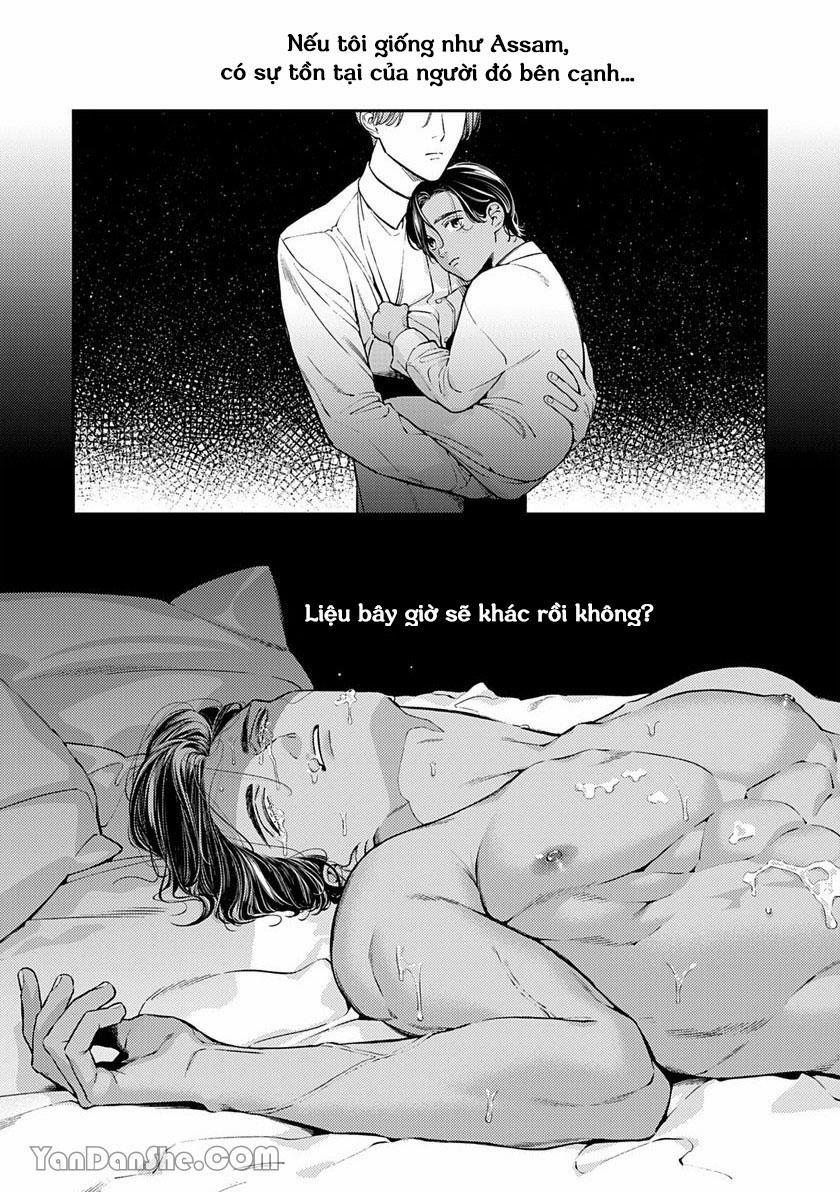 Chú Chim Bình Minh Thuần Phục Dưới Ánh Trăng Yêu Diễm 2 trang 12