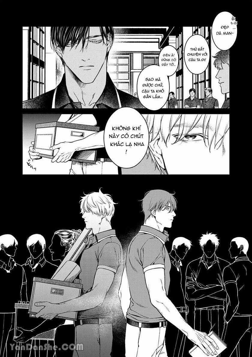 Chú Chim Bình Minh Thuần Phục Dưới Ánh Trăng Yêu Diễm 3 trang 3