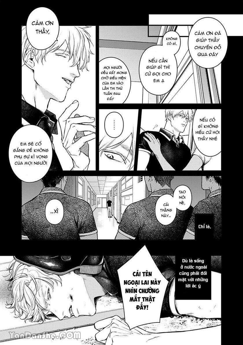 Chú Chim Bình Minh Thuần Phục Dưới Ánh Trăng Yêu Diễm 3 trang 4