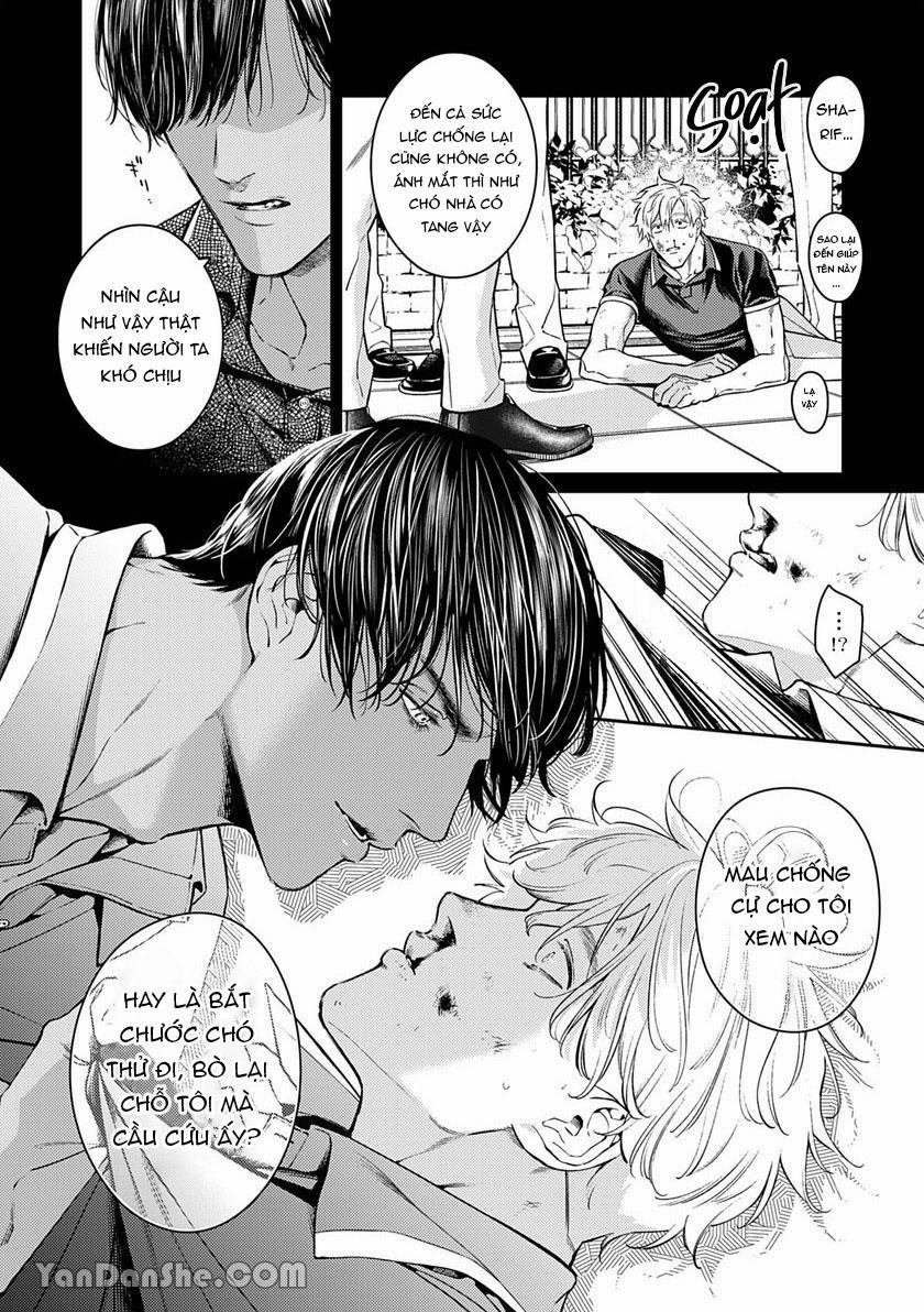 Chú Chim Bình Minh Thuần Phục Dưới Ánh Trăng Yêu Diễm 3 trang 8