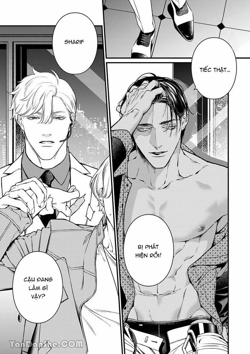 Chú Chim Bình Minh Thuần Phục Dưới Ánh Trăng Yêu Diễm 4 trang 15