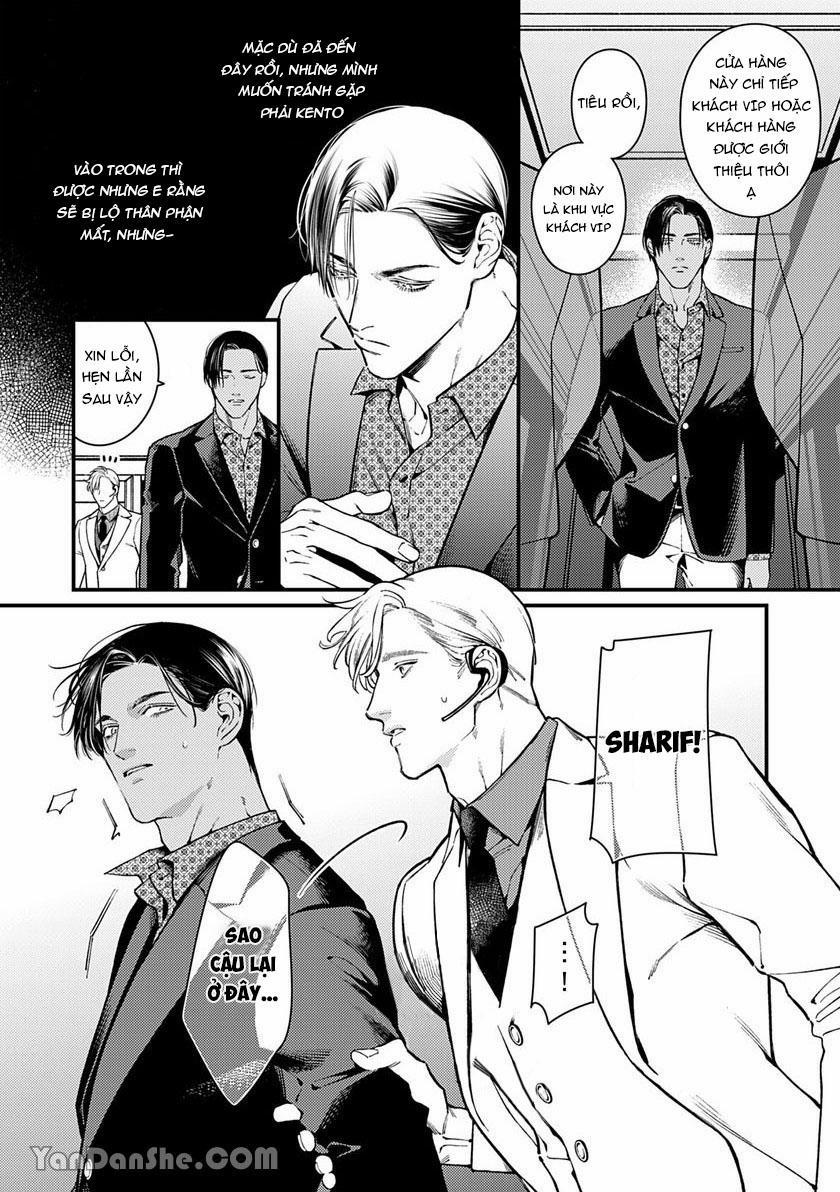 Chú Chim Bình Minh Thuần Phục Dưới Ánh Trăng Yêu Diễm 4 trang 6