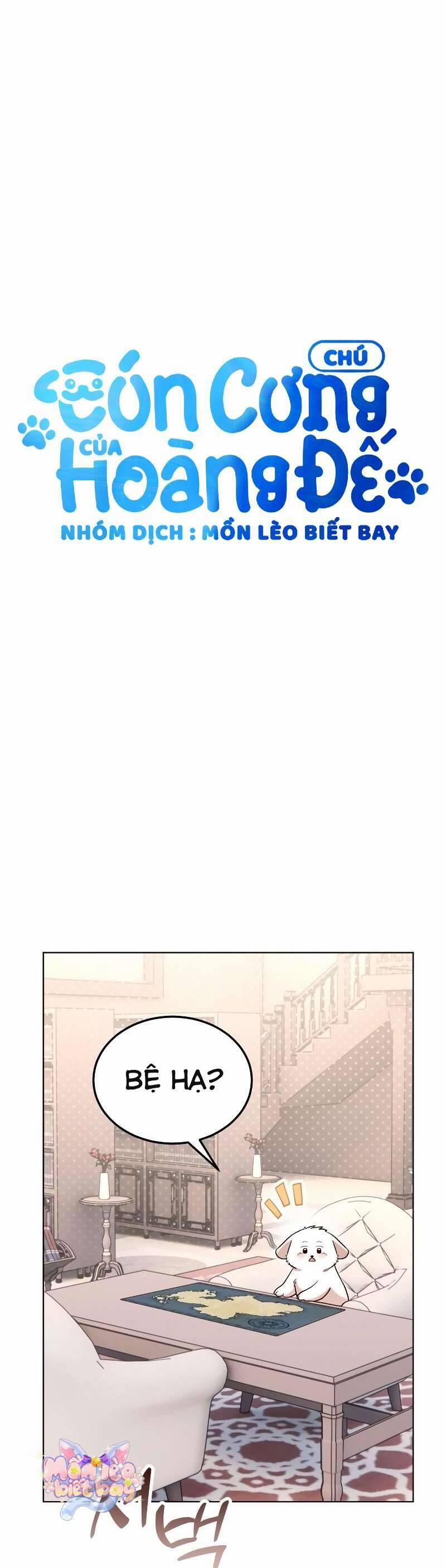 Chú Cún Cưng Của Hoàng Đế 12 trang 1