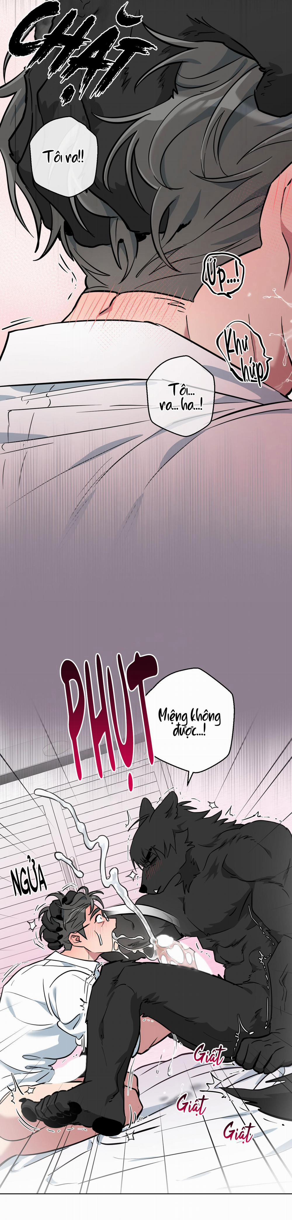 Chú Đã Biết Hết Rồi Sao ? 10 trang 11