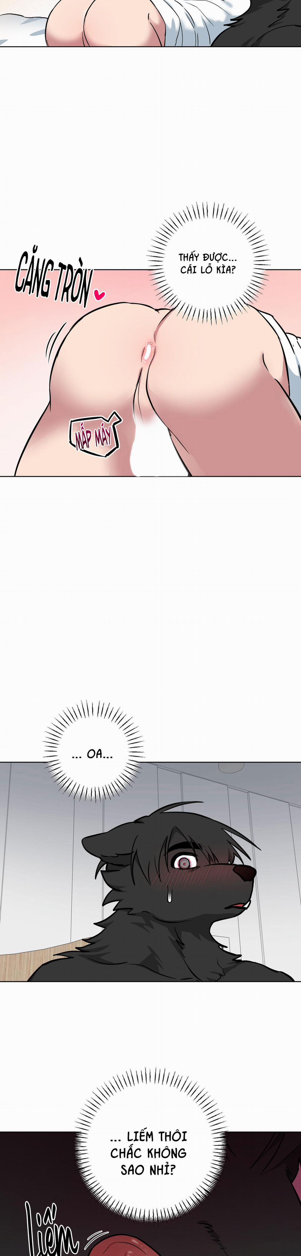 Chú Đã Biết Hết Rồi Sao ? 10 trang 14
