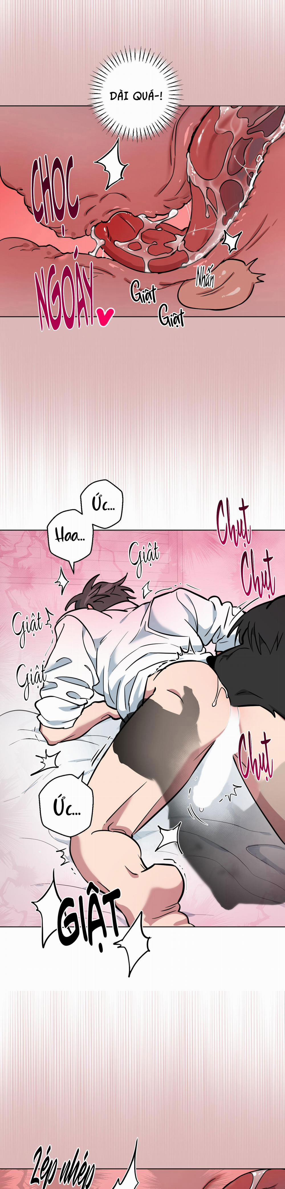 Chú Đã Biết Hết Rồi Sao ? 10 trang 19