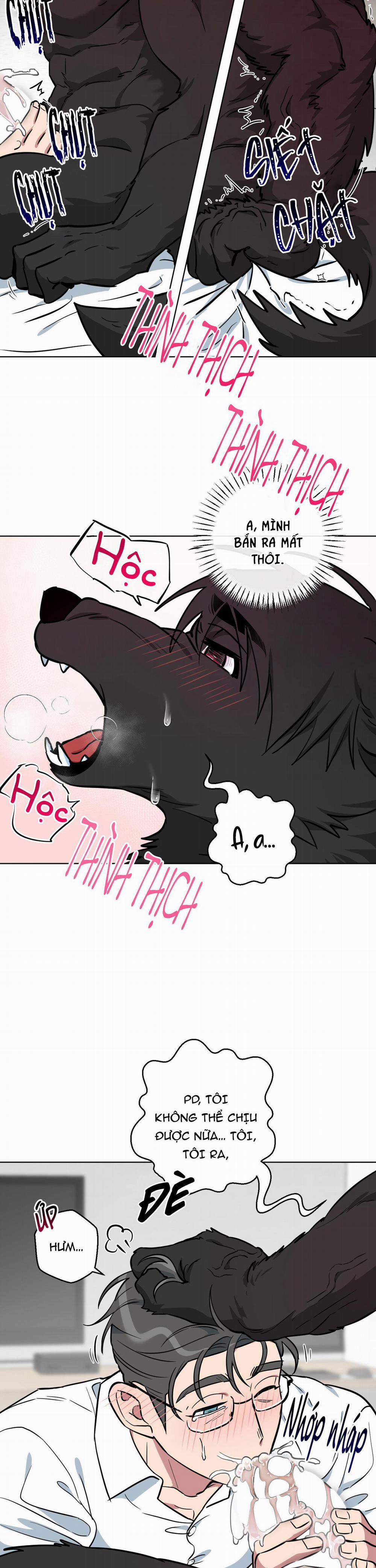 Chú Đã Biết Hết Rồi Sao ? 10 trang 8