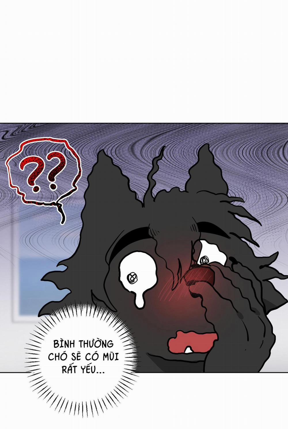 Chú Đã Biết Hết Rồi Sao ? 11 0 trang 1