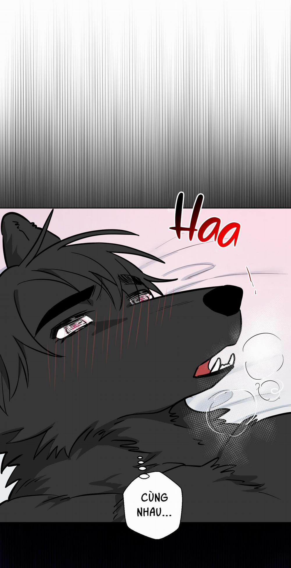 Chú Đã Biết Hết Rồi Sao ? 11 trang 11