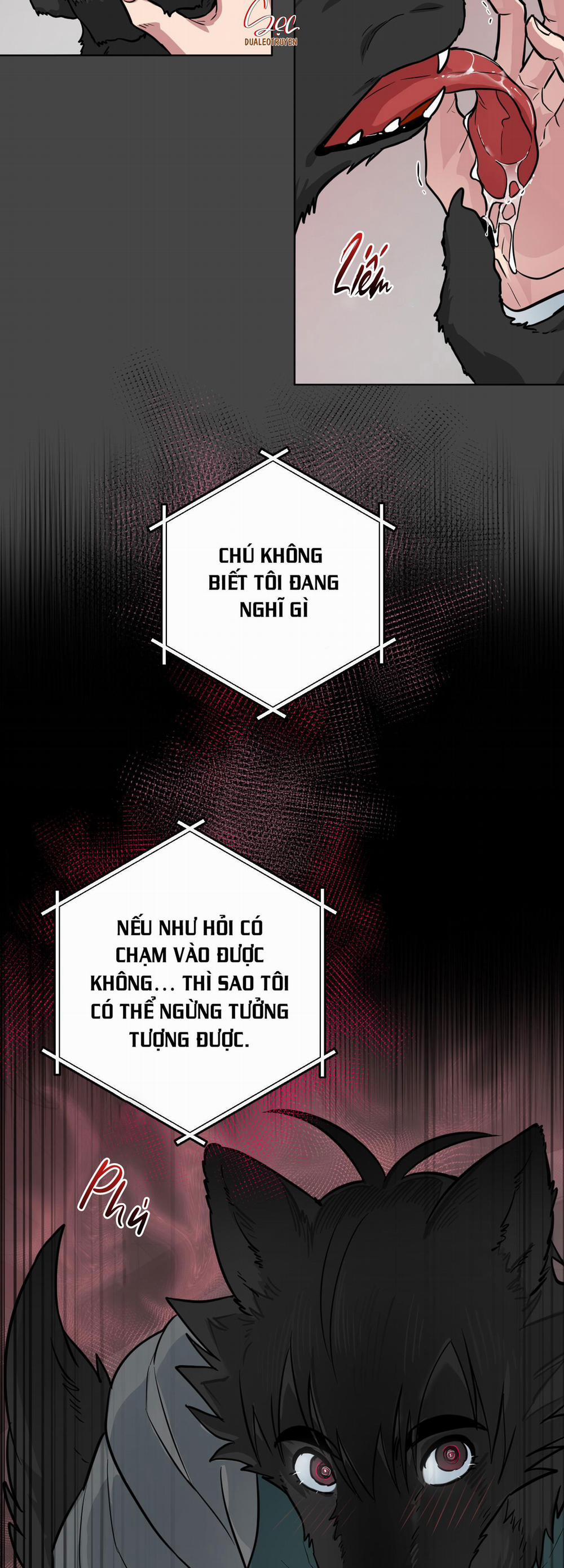 Chú Đã Biết Hết Rồi Sao ? 6 trang 10