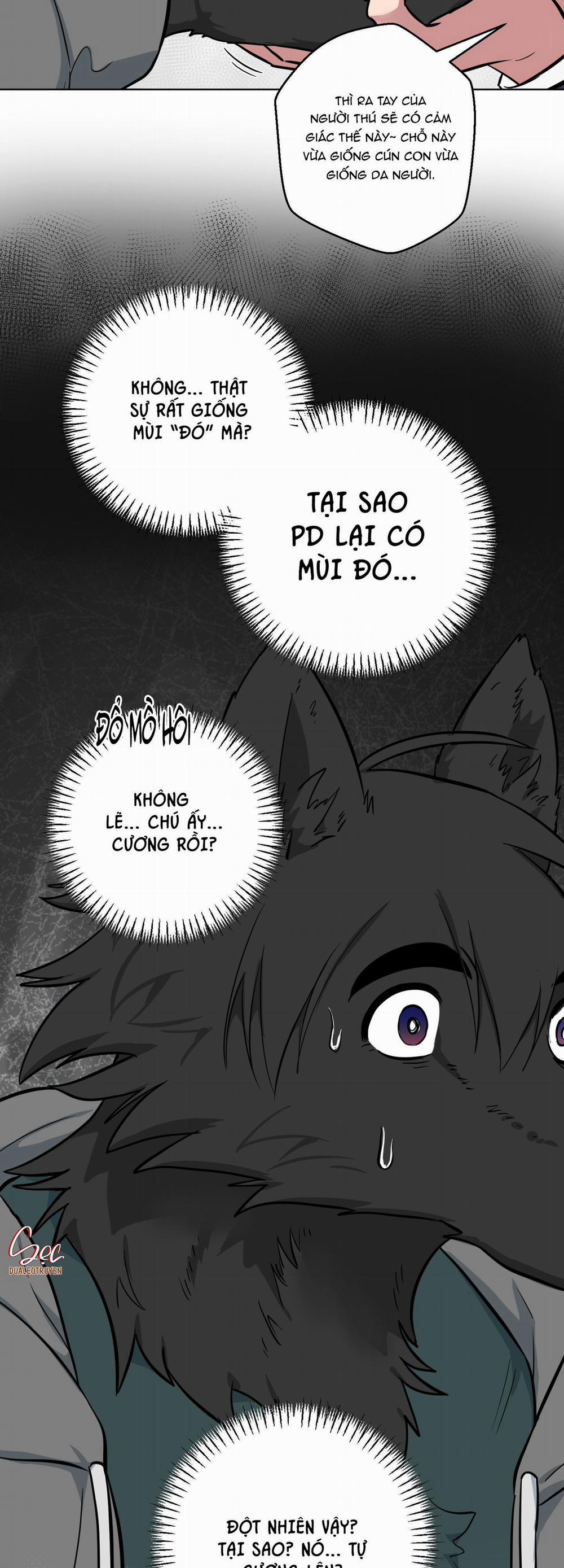 Chú Đã Biết Hết Rồi Sao ? 6 trang 17