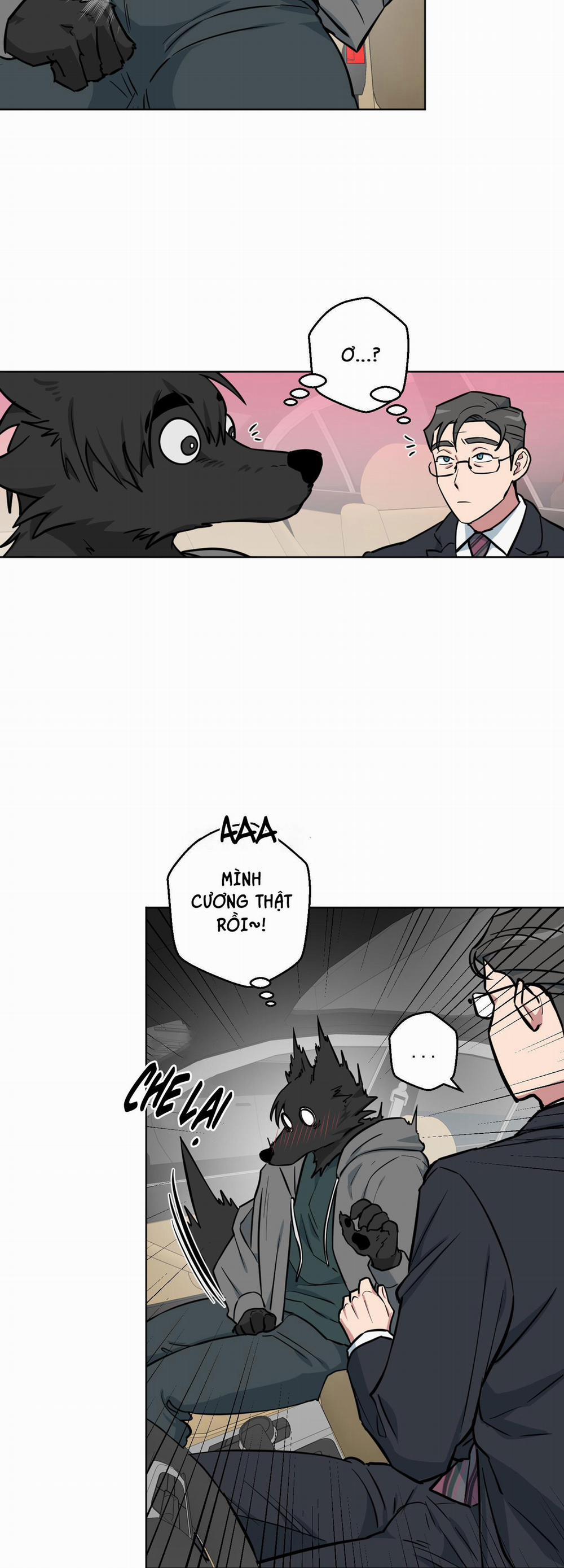 Chú Đã Biết Hết Rồi Sao ? 6 trang 20