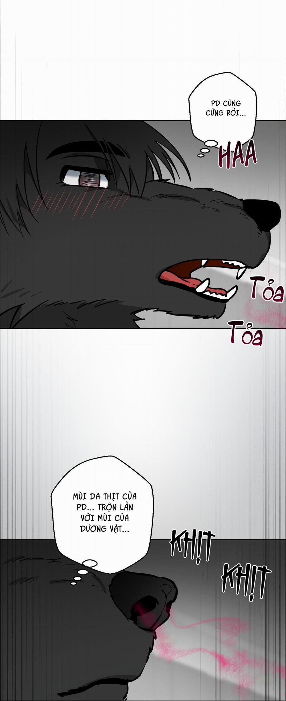 Chú Đã Biết Hết Rồi Sao ? 7 trang 10