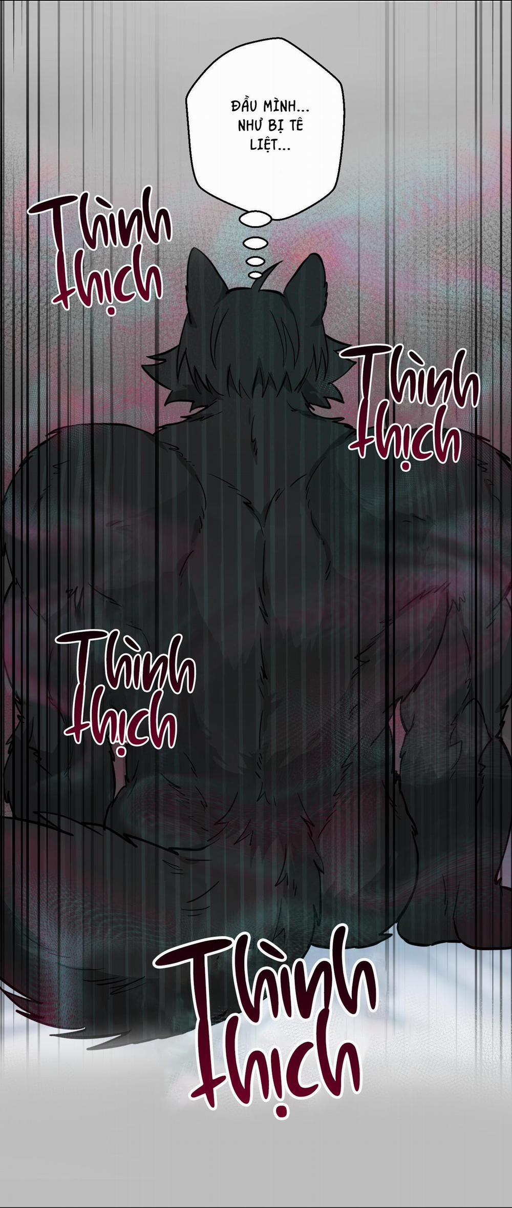 Chú Đã Biết Hết Rồi Sao ? 7 trang 11