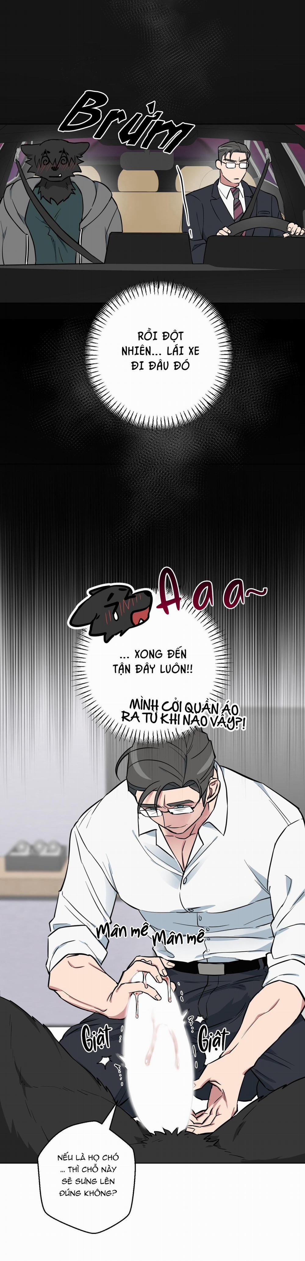 Chú Đã Biết Hết Rồi Sao ? 7 trang 4