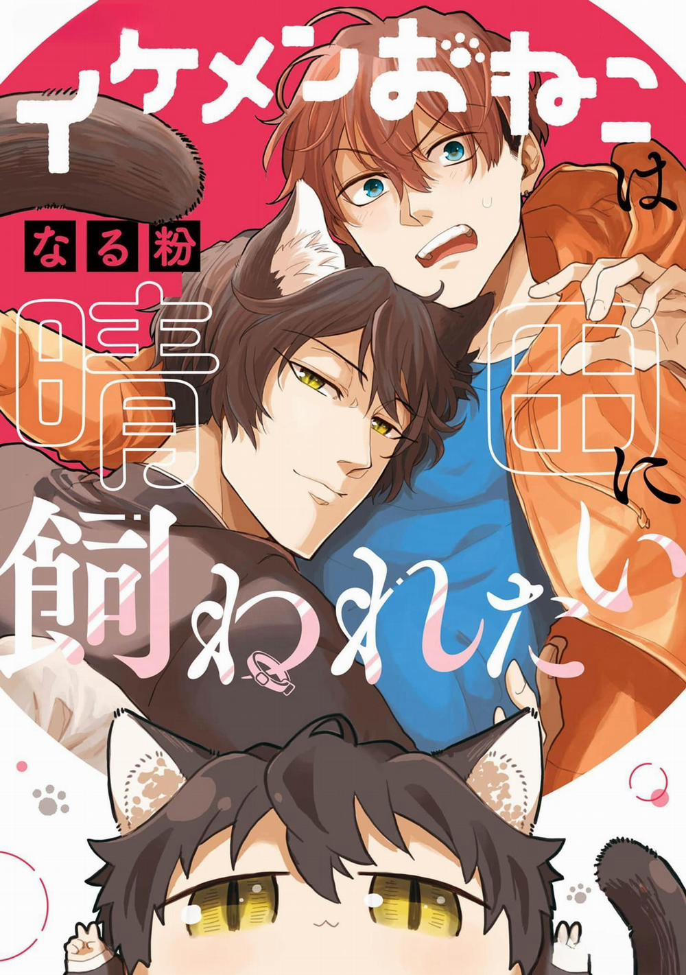 Chú Mèo Đẹp Trai Muốn Được Haruta Nuôi Dưỡng 1 trang 0