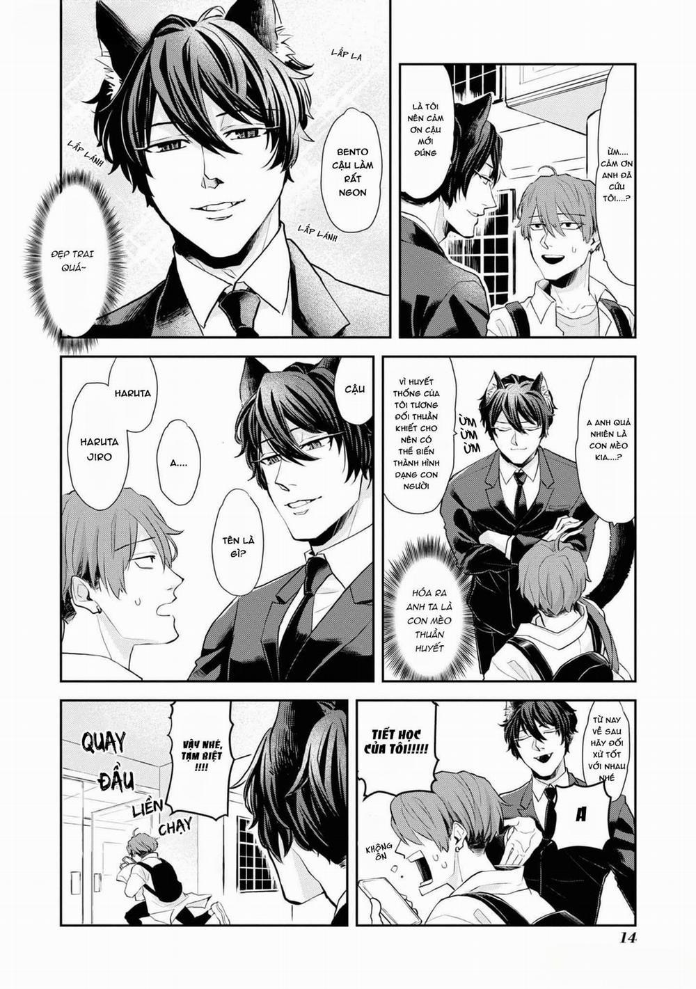 Chú Mèo Đẹp Trai Muốn Được Haruta Nuôi Dưỡng 1 trang 12