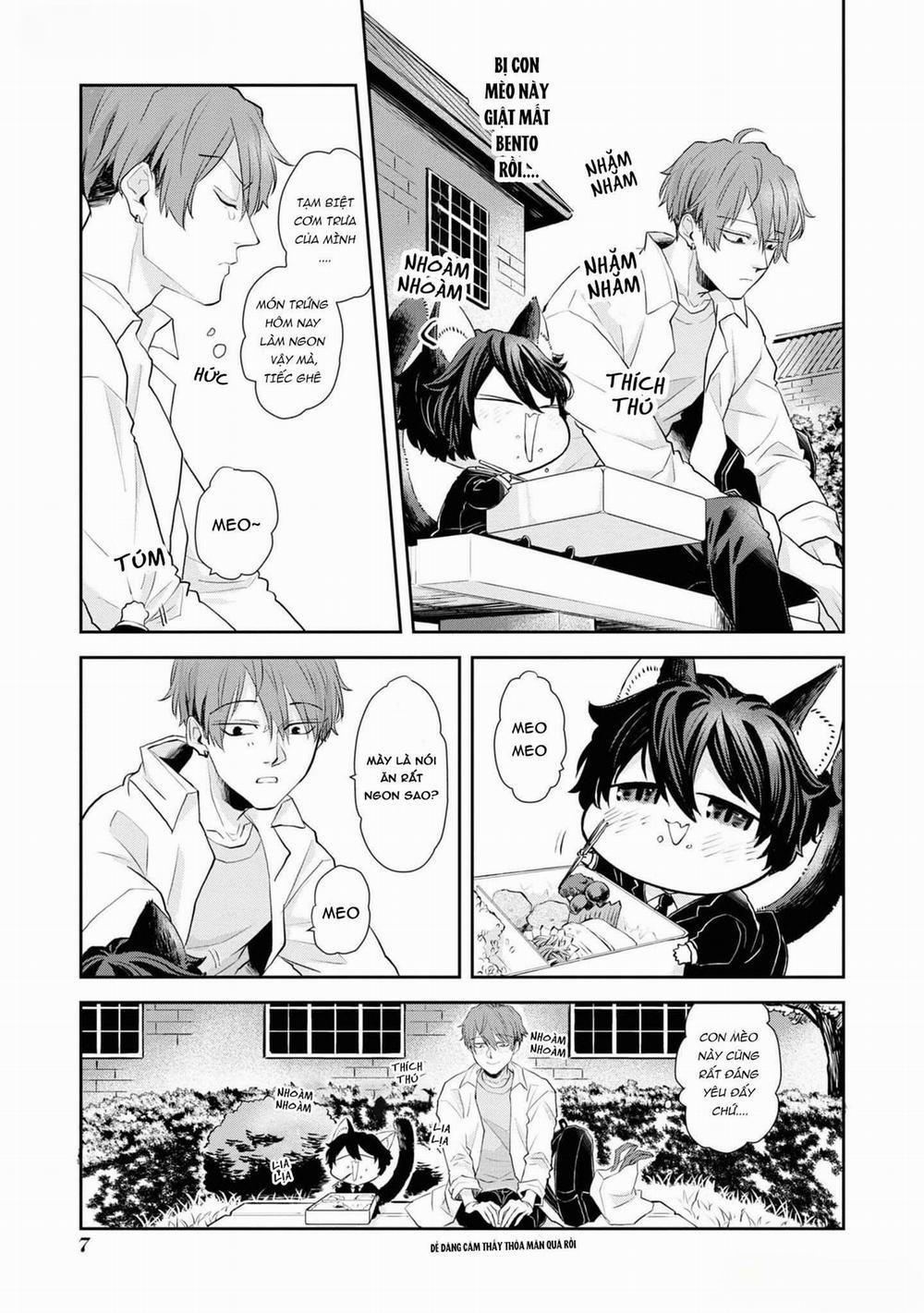 Chú Mèo Đẹp Trai Muốn Được Haruta Nuôi Dưỡng 1 trang 5