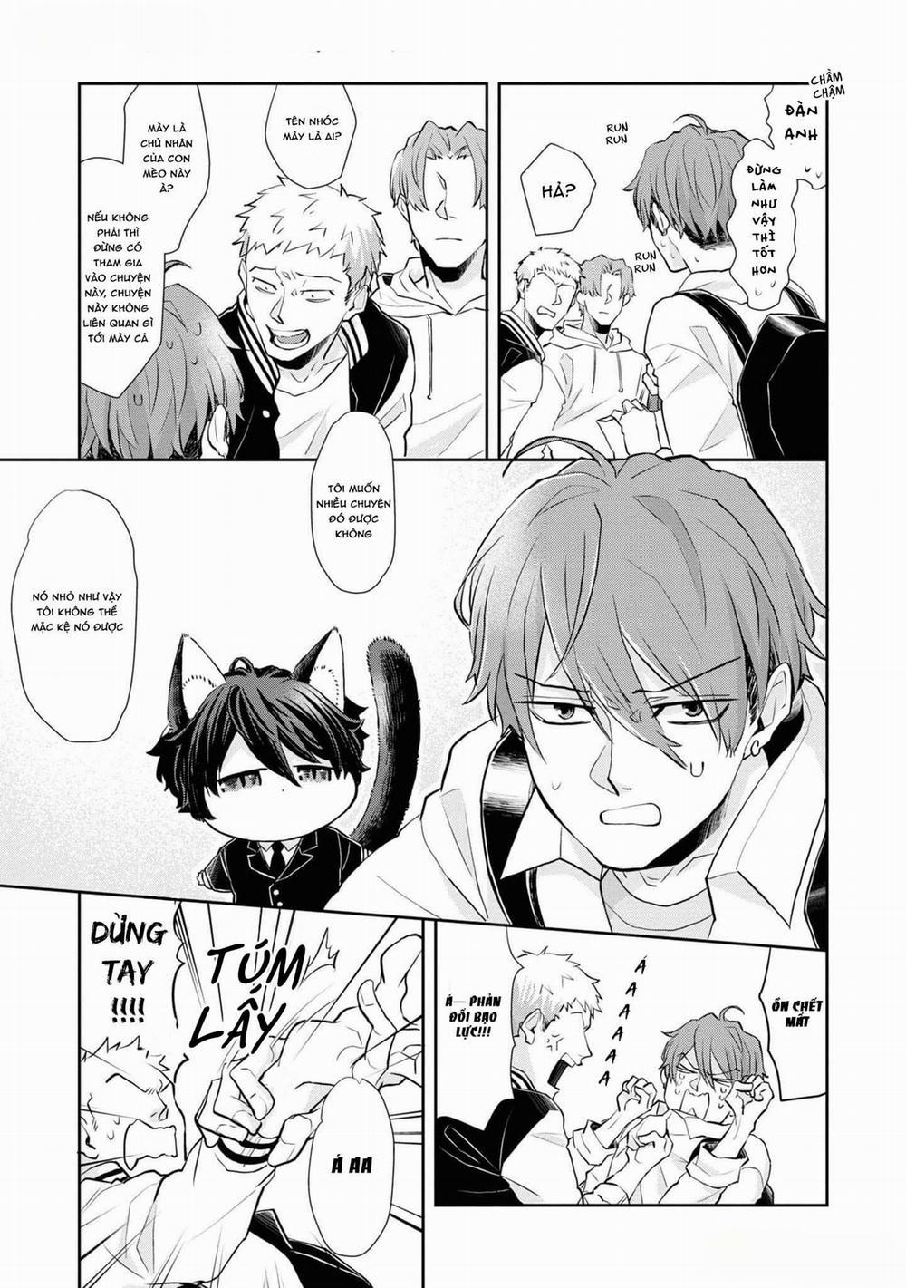 Chú Mèo Đẹp Trai Muốn Được Haruta Nuôi Dưỡng 1 trang 9