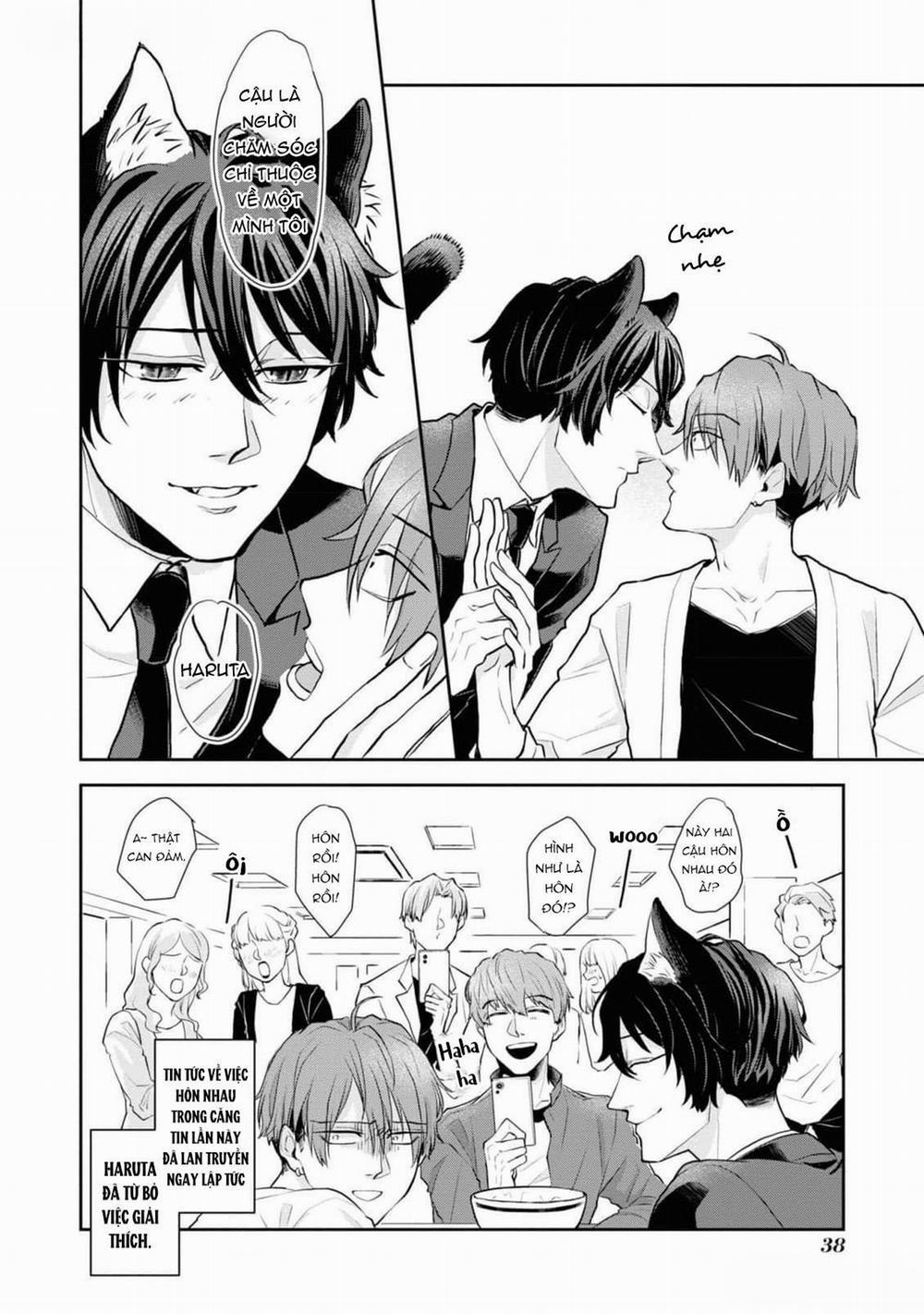 Chú Mèo Đẹp Trai Muốn Được Haruta Nuôi Dưỡng 2 trang 15