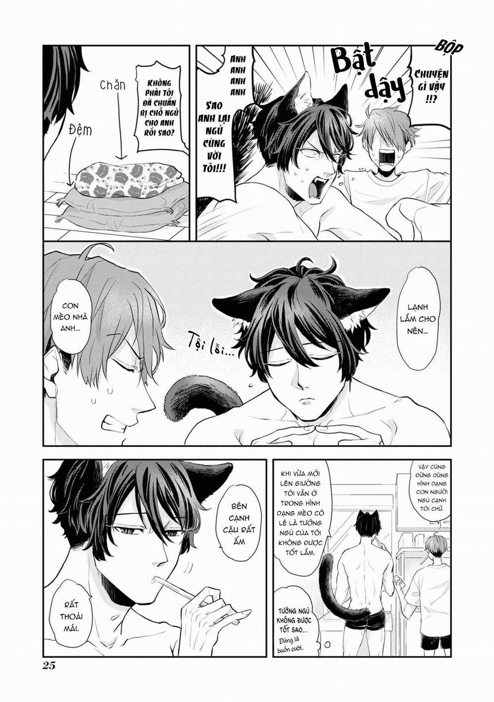 Chú Mèo Đẹp Trai Muốn Được Haruta Nuôi Dưỡng 2 trang 2